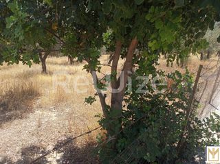 Αγροτεμάχια 5.794 τ.μ. για πώληση, Αργολίδα, Κρανίδι-thumb-3