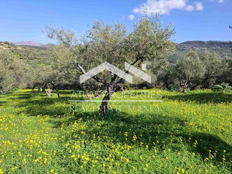 Αγροτεμάχια 3.914τ.μ. για πώληση-Μυθήμνη » Κοτσιανά