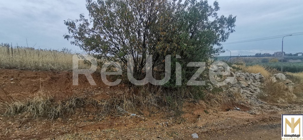 Αγροτεμάχια 2.750 τ.μ. προς πώληση, Άγιος Μάμας Μουδανιών