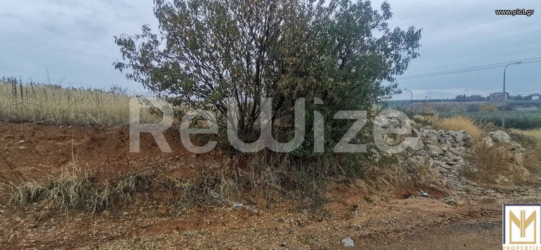 Αγροτεμάχια 2.750 τ.μ. για πώληση, Χαλκιδική, Μουδανιά