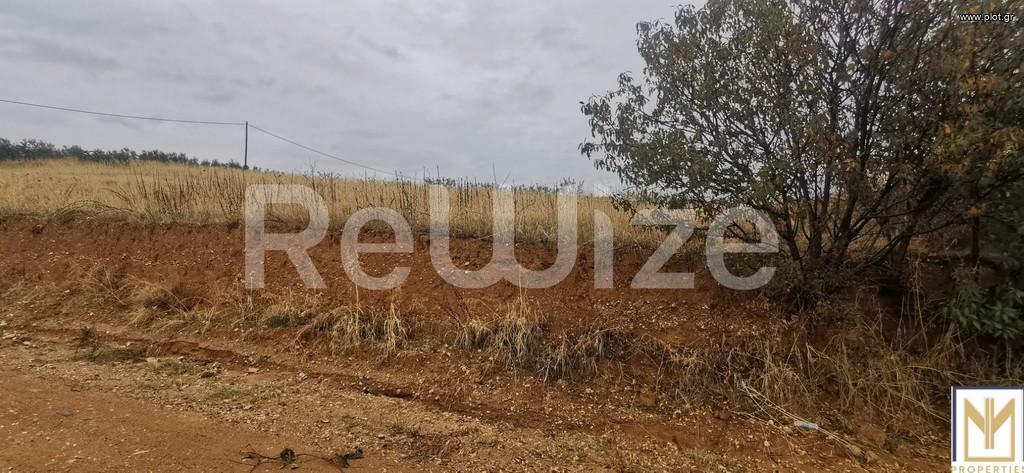Αγροτεμάχια 2.750 τ.μ. προς πώληση, Άγιος Μάμας Μουδανιών