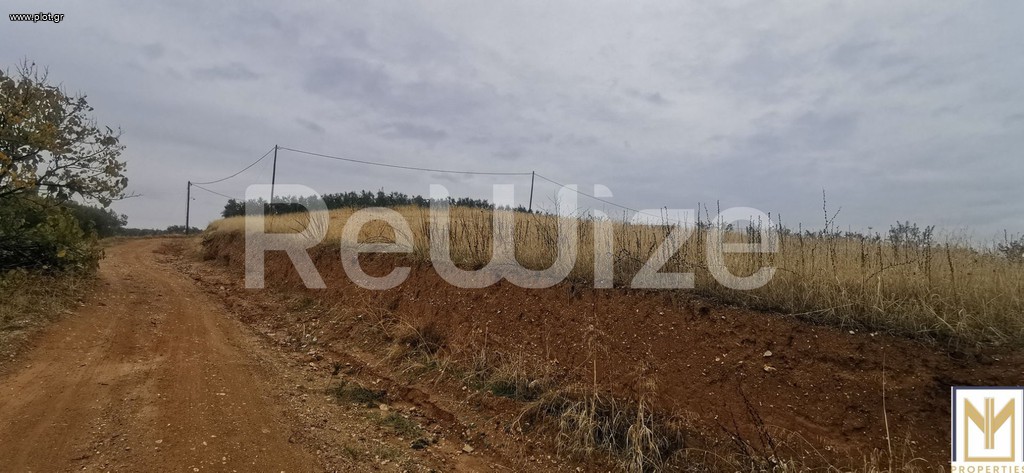 Αγροτεμάχια 2.750 τ.μ. προς πώληση, Άγιος Μάμας Μουδανιών