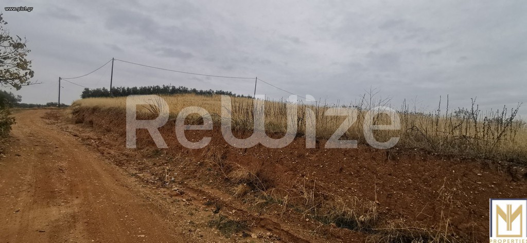 Αγροτεμάχια 2.750 τ.μ. προς πώληση, Άγιος Μάμας Μουδανιών