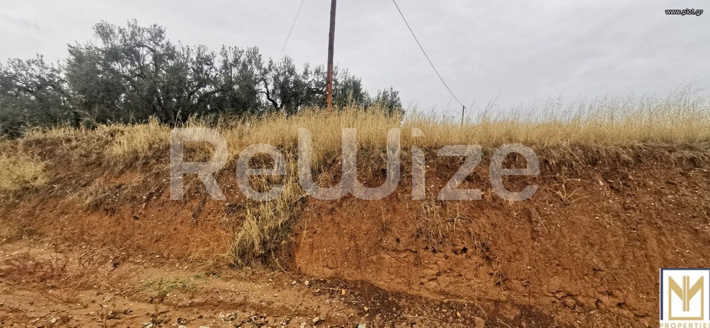 Αγροτεμάχια 2.750 τ.μ. προς πώληση, Άγιος Μάμας Μουδανιών