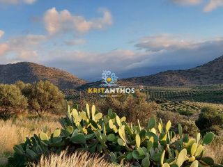 Οικόπεδο 34.160 τ.μ. για πώληση, Ν. Ρεθύμνου, Γεροπόταμος-thumb-11