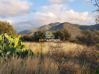 Οικόπεδο 34.160 τ.μ. για πώληση, Ν. Ρεθύμνου, Γεροπόταμος-thumb-13