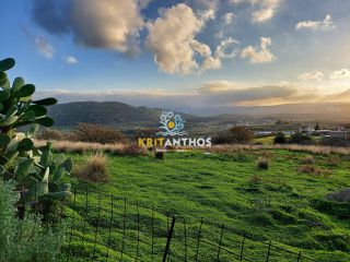 Οικόπεδο 34.160 τ.μ. για πώληση, Ν. Ρεθύμνου, Γεροπόταμος-thumb-18