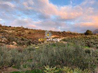 Οικόπεδο 34.160 τ.μ. για πώληση, Ν. Ρεθύμνου, Γεροπόταμος-thumb-1