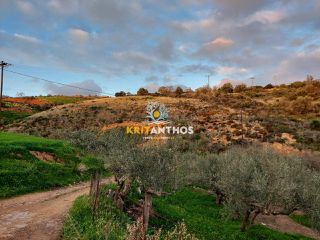 Οικόπεδο 34.160 τ.μ. για πώληση, Ν. Ρεθύμνου, Γεροπόταμος-thumb-3