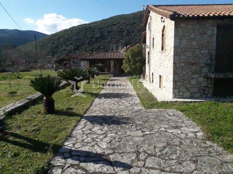 Μονοκατοικία 125τ.μ. για πώληση-Παραμυθιά » Καρβουνάρι