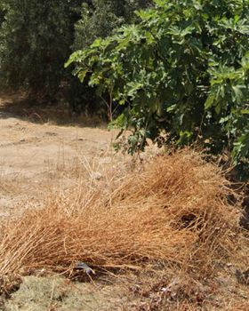 Land plot 541sqm for sale-Glyfada » Golf