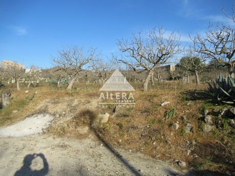 Parcel 750sqm for sale-Aegina » Psachni