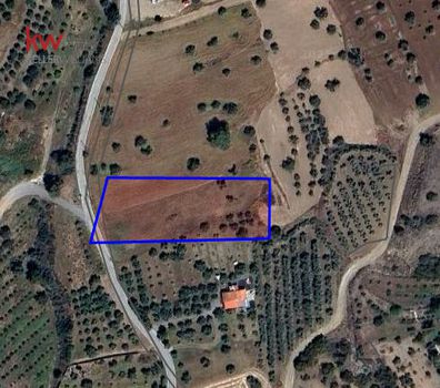 Αγροτεμάχια 3.345τ.μ. για πώληση-Αγγλισίδες