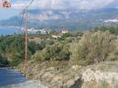 Αγροτεμάχια 4.547τ.μ. για πώληση-Σάμος