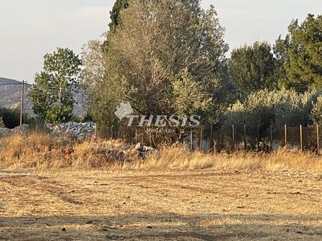 Μεζονέτα 500τ.μ. για πώληση-Μαραθώνας » Σχινιάς