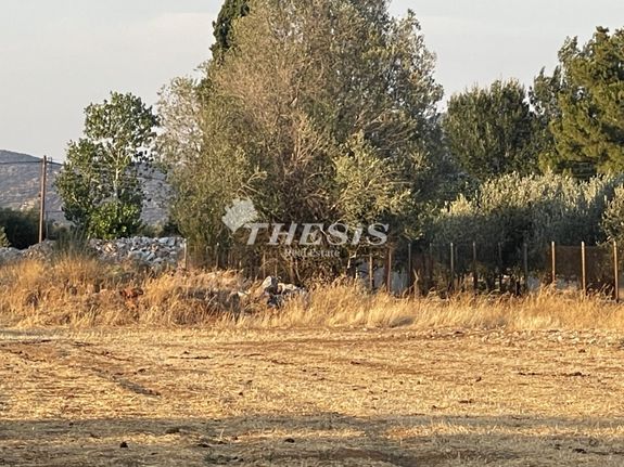 Μεζονέτα 500 τ.μ. για πώληση, Αθήνα - Ανατολικά Προάστια, Μαραθώνας