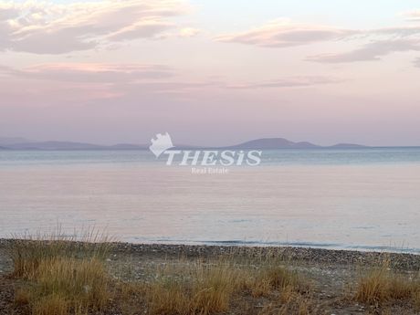 Οικόπεδο 5.315τ.μ. για πώληση-Μαραθώνας » Σχινιάς