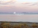 Οικόπεδο 5.315τ.μ. για πώληση-Μαραθώνας » Σχινιάς