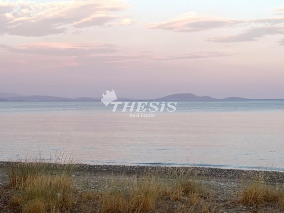 Land plot 5.315 sqm for sale, Athens - East, Marathonas