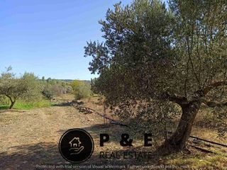 Αγροτεμάχια 8.129 τ.μ. πρός πώληση, Αττική - Υπόλοιπο, Πολυδένδρι-thumb-1