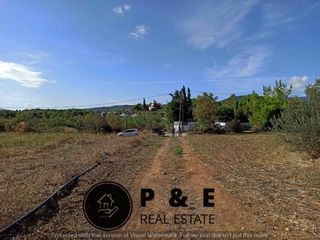 Αγροτεμάχια 8.129 τ.μ. πρός πώληση, Αττική - Υπόλοιπο, Πολυδένδρι-thumb-2