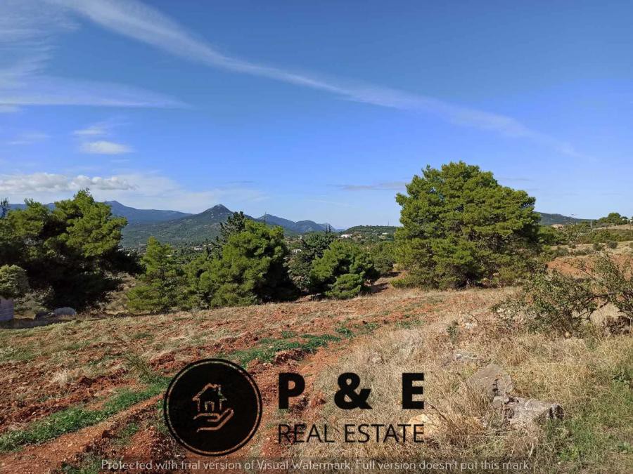 Αγροτεμάχια 15.638 τ.μ. πρός πώληση, Αττική - Υπόλοιπο, Κ. Καπανδριτίου