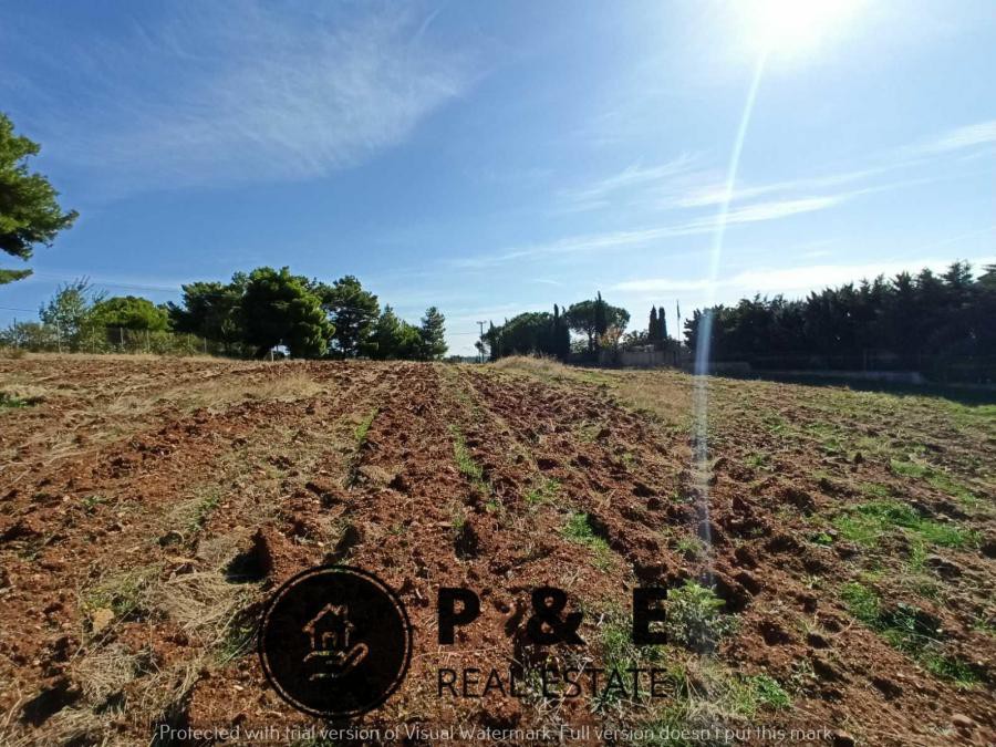 Αγροτεμάχια 15.638 τ.μ. πρός πώληση, Αττική - Υπόλοιπο, Κ. Καπανδριτίου