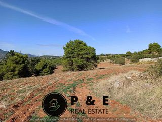 Αγροτεμάχια 15.638 τ.μ. για πώληση