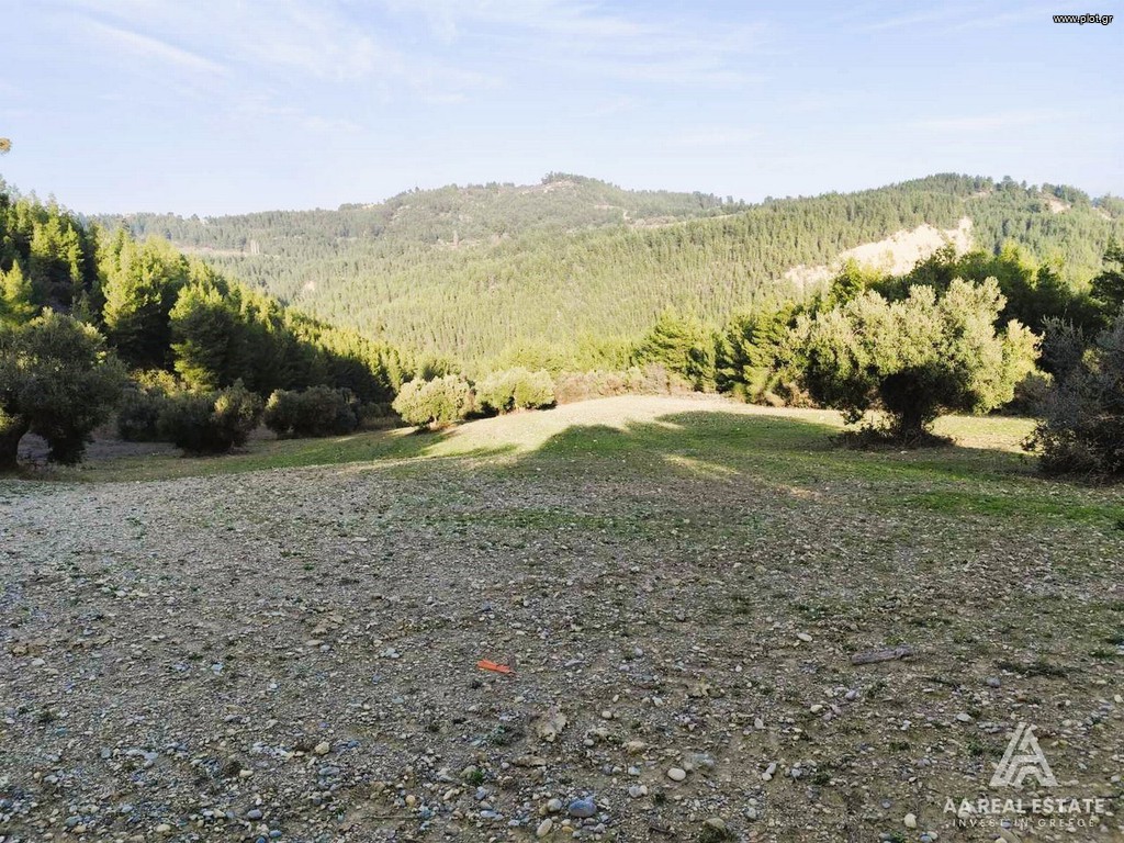 Αγροτεμάχια 12.489 τ.μ. πρός πώληση, Χαλκιδική, Παλλήνη