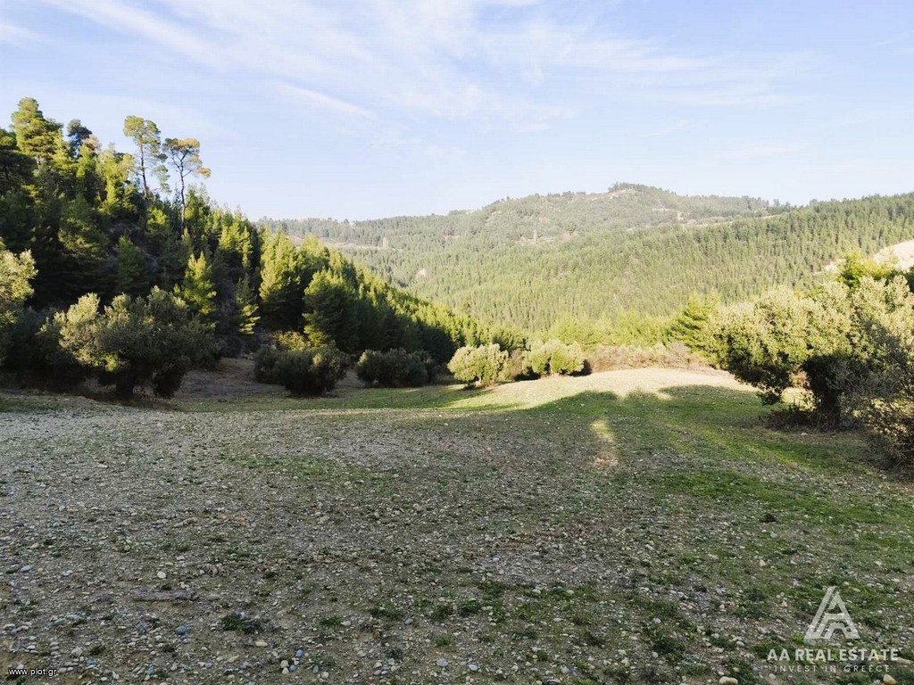 Αγροτεμάχια 12.489 τ.μ. πρός πώληση, Χαλκιδική, Παλλήνη