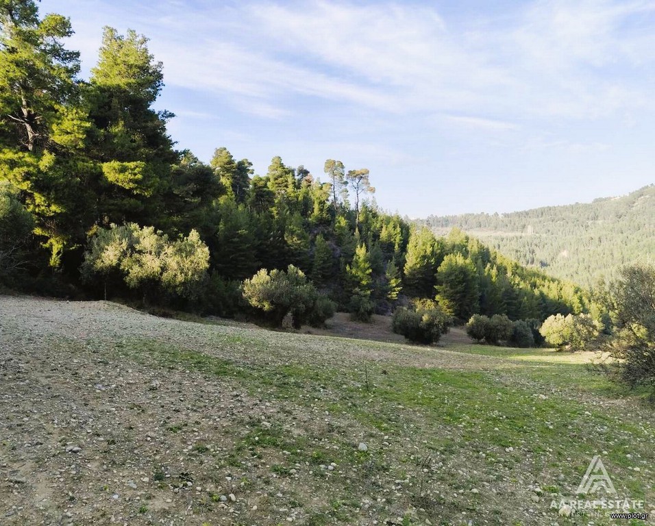 Αγροτεμάχια 12.489 τ.μ. πρός πώληση, Χαλκιδική, Παλλήνη