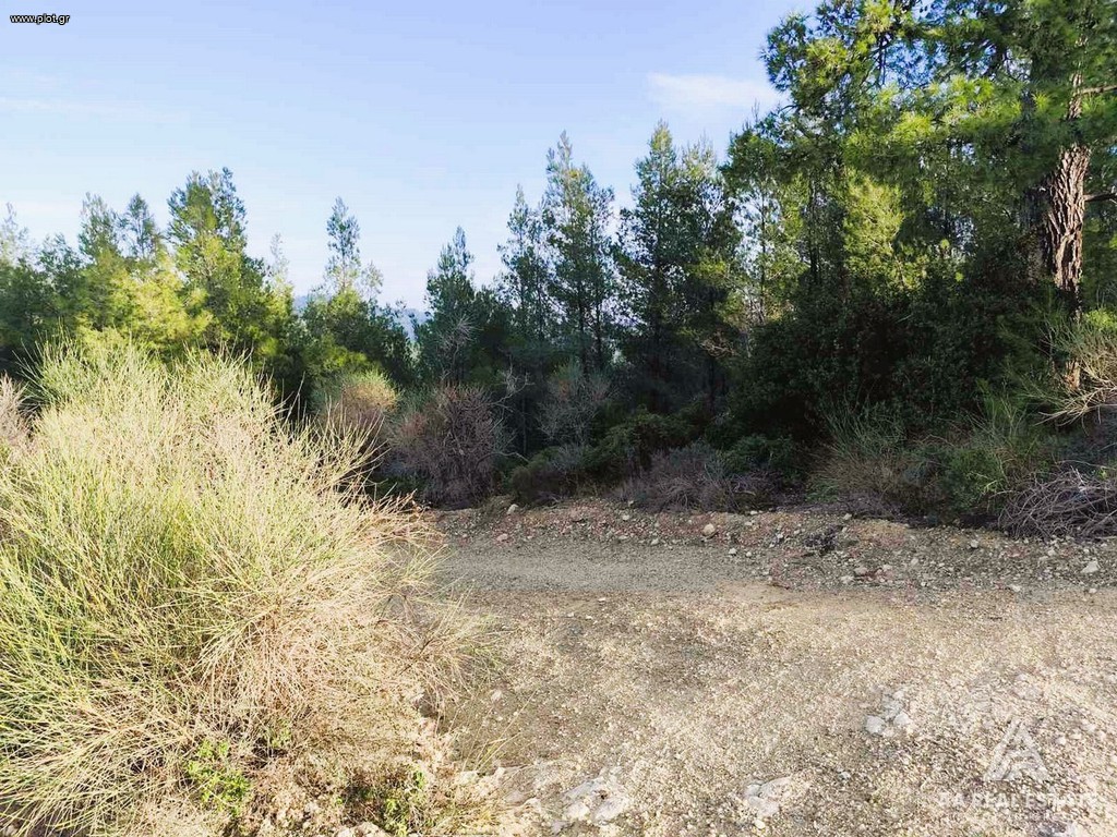 Αγροτεμάχια 12.489 τ.μ. πρός πώληση, Χαλκιδική, Παλλήνη