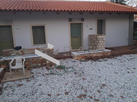 Studio / γκαρσονιέρα 60τ.μ. για ενοικίαση-Μαραθώνας