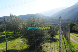 Οικόπεδο 4.108 τ.μ. για πώληση, Αργολίδα, Λύρκεια-thumb-4