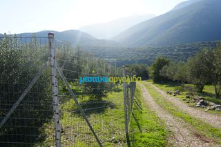 Οικόπεδο 4.108 τ.μ. για πώληση, Αργολίδα, Λύρκεια-thumb-5