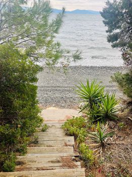 Land plot 4.000sqm for sale-Messapia