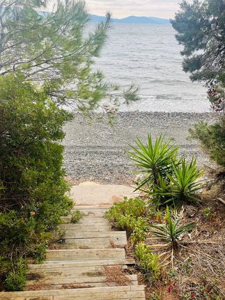 Land plot 4.000 sqm for sale, Evia, Messapia