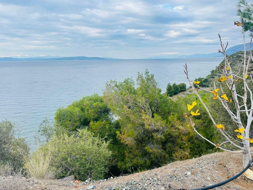 Μονοκατοικία 60 τ.μ. προς πώληση, Εύβοια, Μεσσαπία