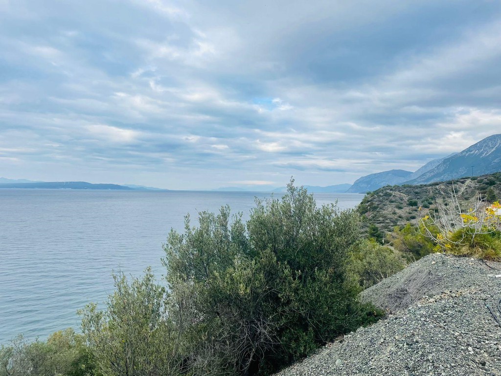Μονοκατοικία 60 τ.μ. προς πώληση, Εύβοια, Μεσσαπία