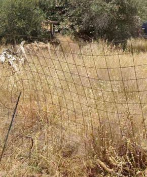 Οικόπεδο 647τ.μ. για πώληση-Άγιος δημήτριος » Ανθέων