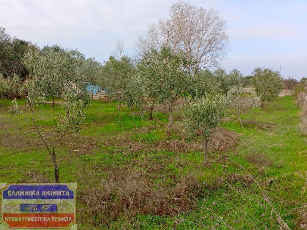 Αγροτεμάχια 817 τ.μ. προς πώληση, Καλύβες Θάσου