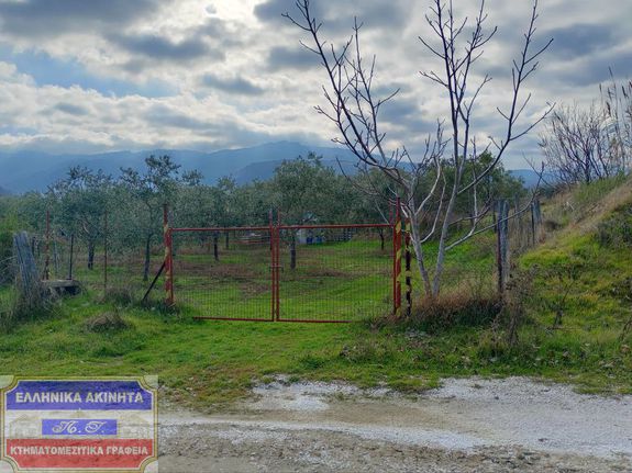 Αγροτεμάχια 817 τ.μ. για πώληση, Ν. Καβάλας, Θάσος