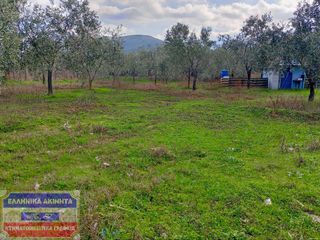 Αγροτεμάχια 817 τ.μ. για πώληση, Ν. Καβάλας, Θάσος-thumb-7