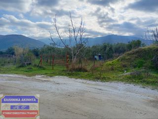Αγροτεμάχια 817 τ.μ. για πώληση, Ν. Καβάλας, Θάσος-thumb-1