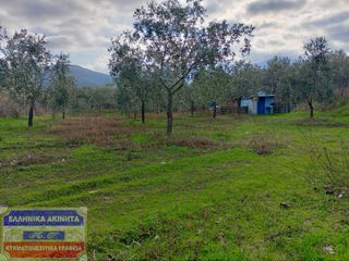 Αγροτεμάχια 817 τ.μ. για πώληση, Ν. Καβάλας, Θάσος-thumb-3