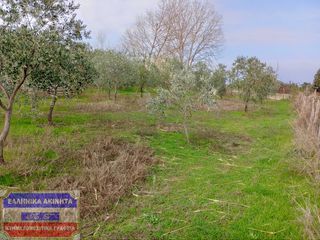 Αγροτεμάχια 817 τ.μ. για πώληση, Ν. Καβάλας, Θάσος-thumb-6