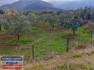 Αγροτεμάχια 817 τ.μ. για πώληση, Ν. Καβάλας, Θάσος-thumb-5