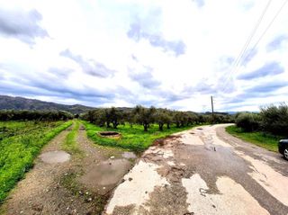 Οικόπεδο 9.050 τ.μ. για πώληση