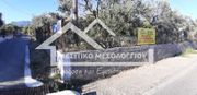 Οικόπεδο 1.300τ.μ. για πώληση-Ιερά πόλη μεσολογγίου