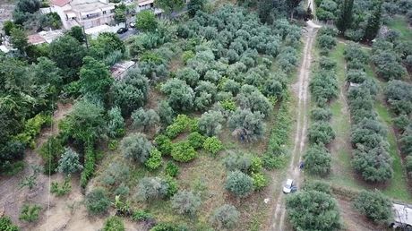 Οικόπεδο 780τ.μ. για πώληση-Πάτρα » Περιβόλια
